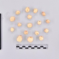 CIP 760685_OKA 4306_opl_T_2024.jpg