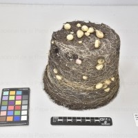 CIP 766059_VIR 03540_dms_Tb.jpg