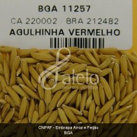 BRA00008592-8.JPG