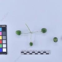 CIP 761102_FB 5079.1_cmm_B_2024.jpg