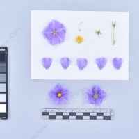 CIP 761206_OCHS 11310_wtm_F_2024.jpg