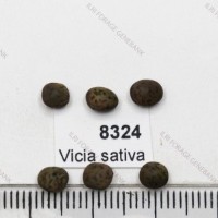 8324.jpg