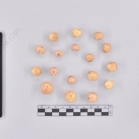 CIP 760681_OKA 3812_opl_T_2024.jpg