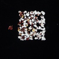 Popped and not popped comparison.jpg