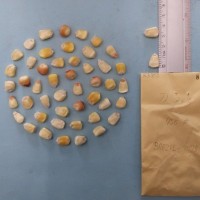 CIMMYTMA 8390 - Reference inventory.jpg