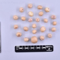 CIP 760688_OKA 4350_opl_T.jpg