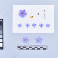 CIP 761410_OCH 12040_rap_F_2024.jpg