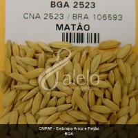 BRA00001653-5.JPG