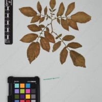 CIP 760257_HHCH 4543_02.jpg