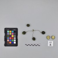 CIP760586_VSOA 55_B.JPG