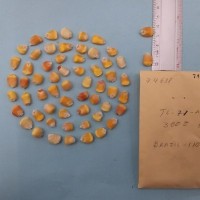 CIMMYTMA 7468 - Reference inventory.jpg