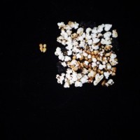 Popped and not popped comparison.jpg