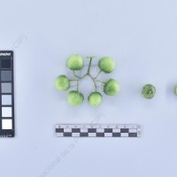 CIP 761210_OCH 11315_lgl_B_2024.jpg