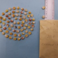 CIMMYTMA 7940 - Reference inventory.jpg