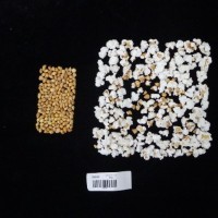 Popped and not popped comparison labeled.jpg