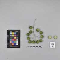 CIP765929_RPSP 253_B.JPG