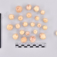 CIP 760298_HHCH 4714_scr_T_2024.jpg