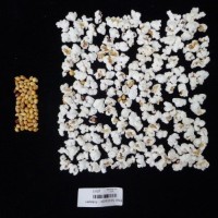 Popped and not popped comparison labeled.jpg