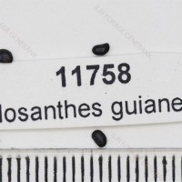 11758.jpg