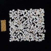 Popped and not popped comparison.jpg