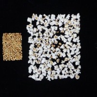 Popped and not popped comparison.jpg