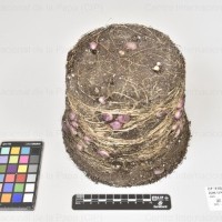 CIP 761504_OCHS 13141_med_Tb(i).jpg