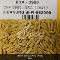 BRA00002727-6.JPG