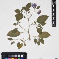 CIP 760433_HHA 6521_08.jpg