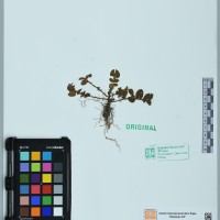 200300_OCHS 9829 CIP 761142.JPG