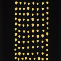 CIMMYTMA 21452 PAZM 04037 AF23A-0903-80 K.jpg