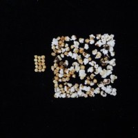 Popped and not popped comparison.jpg