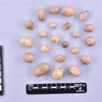 CIP 762933_SSTS 7314_nwb_T(i).jpg