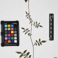 CIP 762915_SSTH 7397_16.jpg