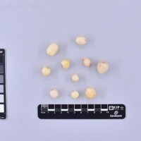 CIP 760681_OKA 3812_opl_T.jpg