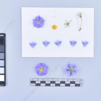 CIP 761670_OCH 13609_cop_F_2024.jpg