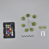 CIP765736_RPSP 052_B.JPG