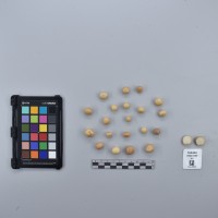 CIP760480_HHA 6699_T.JPG