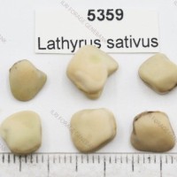 5359.jpg