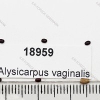 18959.jpg