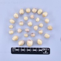 CIP 760224_HCH 4323_mga_T.jpg