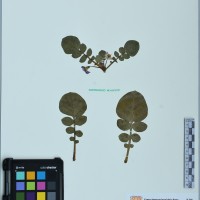 200158_OCH 13005 CIP 761464.JPG