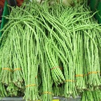 yardlong-beans-1098530_1920.jpg