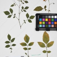 CIP 760433_HHA 6521_12.jpg