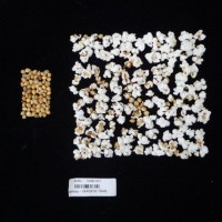 Popped and not popped comparison labeled.jpg