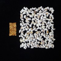 Popped and not popped comparison.JPG