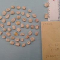 CIMMYTMA 5935 - Reference Inventory.jpg