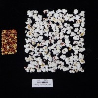 Popped and not popped comparison labeled.jpg