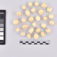 CIP 761364_OCH 11954_blv_T_2024.jpg