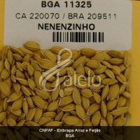 BRA00008660-3.JPG