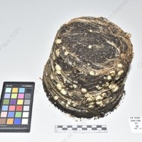 CIP 761205_OCHS 11309_wtm_Tb_2024.jpg